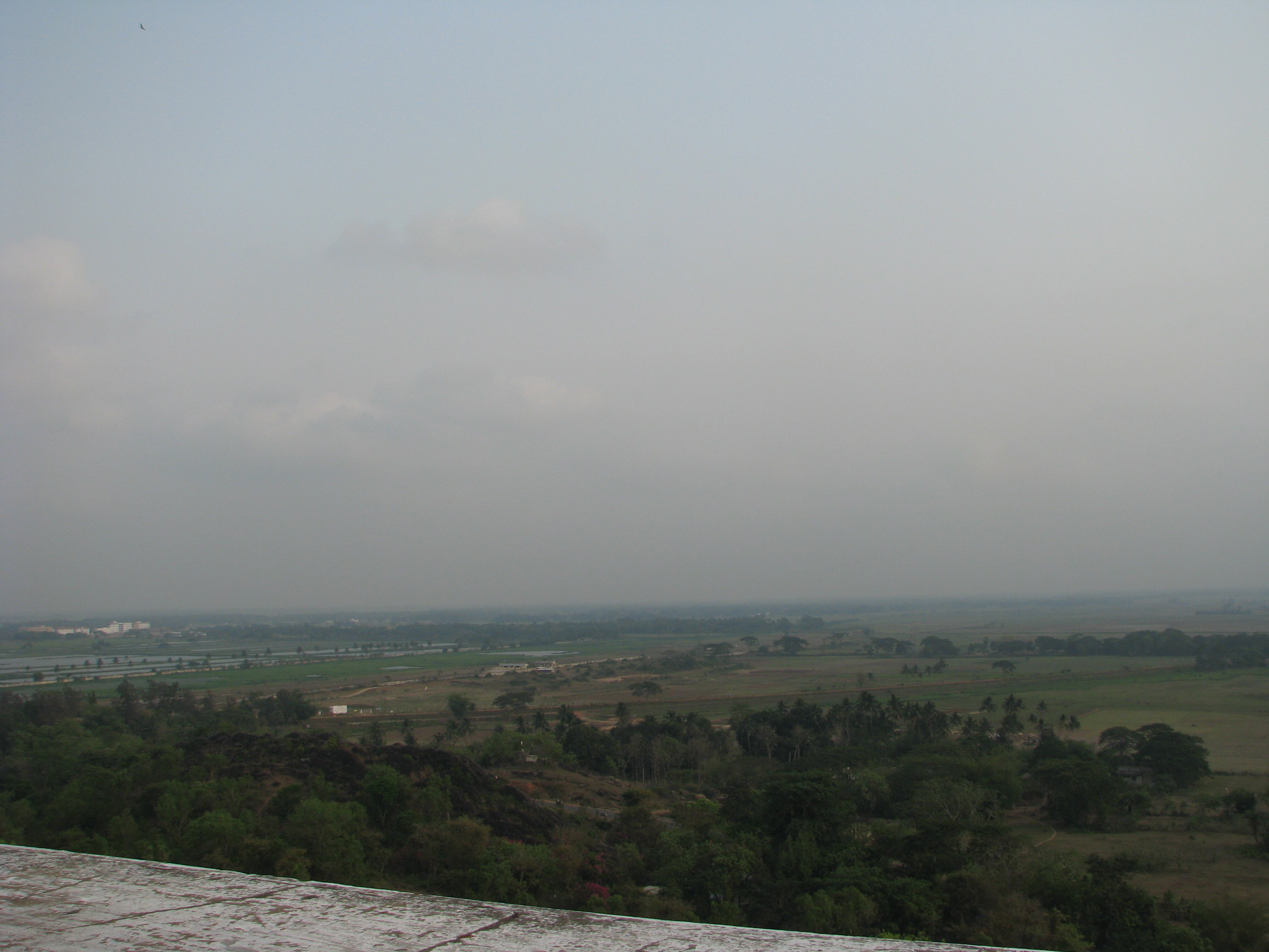 Dhauli Shanti Stupa - view over the Daya river valley near Bhubaneswar